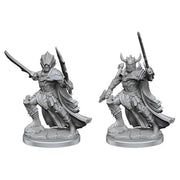 Hellknight: Pathfinder Legendary Cuts (W2)