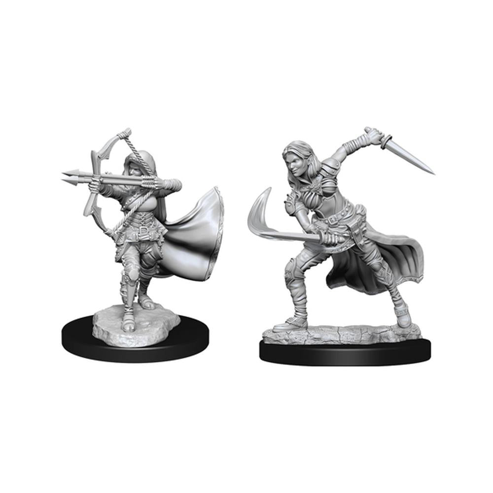 D&D: Nolzur's Marvelous Unpainted Miniatures (Wave 15): Air Genasi Female