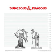 D&D Nolzur's Marvelous Unpainted Miniatures: Human Druid & Elf Sorcerer (W29)