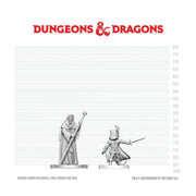 D&D Nolzur's Marvelous Unpainted Miniatures: Cultist of Bhaal & Cultist of Myrkul (W29)