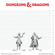 D&D Nolzur's Marvelous Miniatures: Knight & Mage Apprentice (W29)