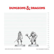 D&D Nolzur's Marvelous Unpainted Miniatures: Dragonborn Paladin & Dragonborn Squire