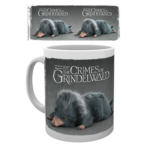 Fantastic Beasts: The Crimes of Grindelwald - Einstein Mug