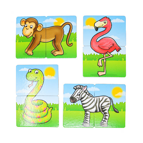 Jungle Heads & Tails
