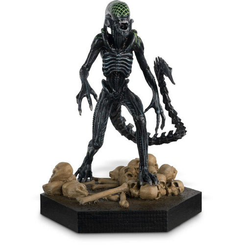 Hero Collector: Grid Xenomorph (Alien vs. Predator) - Horror Collection
