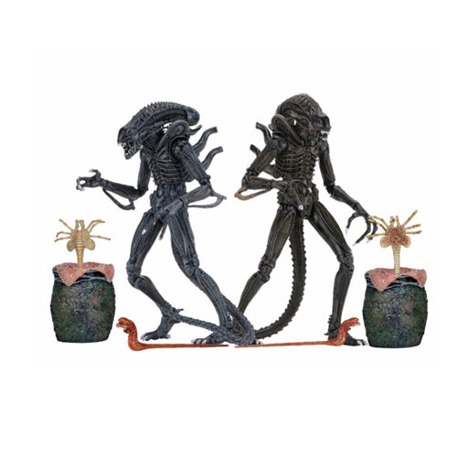 Aliens (1986) Aliens Warrior Assortment Ultimate 7 Inch Scale Action Figures