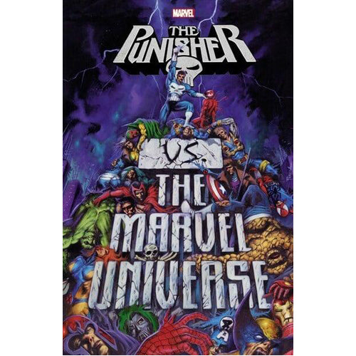 Punisher vs. the Marvel Universe (Paperback)