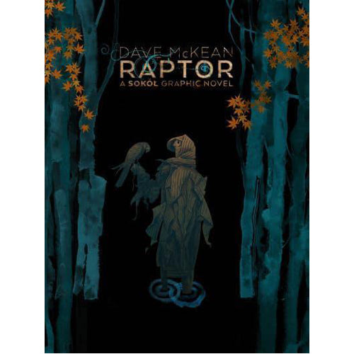 Raptor: A Sokol Graphic Novel (Paperback)