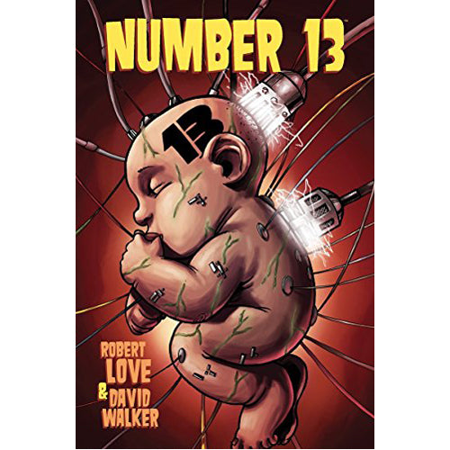 Number 13 (Paperback)