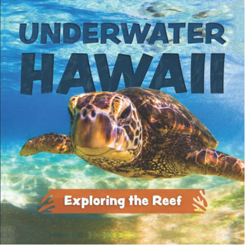 Underwater Hawai'i: Exploring the Reef