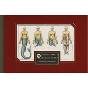 Vivisectionary (Hardback)