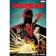 Shadowland (Paperback)