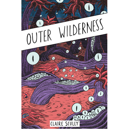 Outer Wilderness (Paperback)