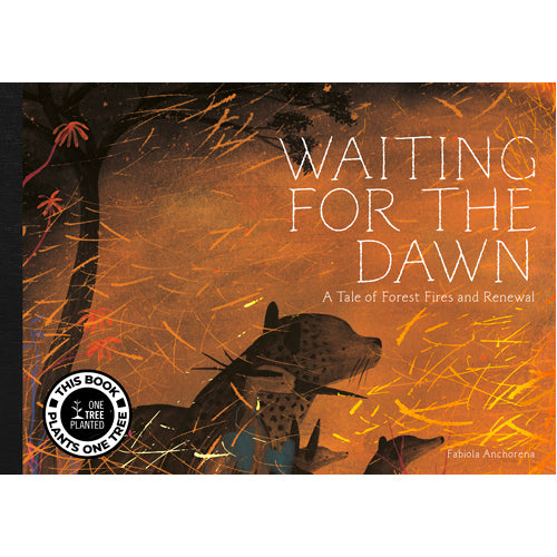 Waiting for The Dawn - HB
