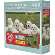 Doing Things Puppies Prank Puzzle (300 pieces)