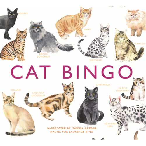 *A Grade* Cat Bingo